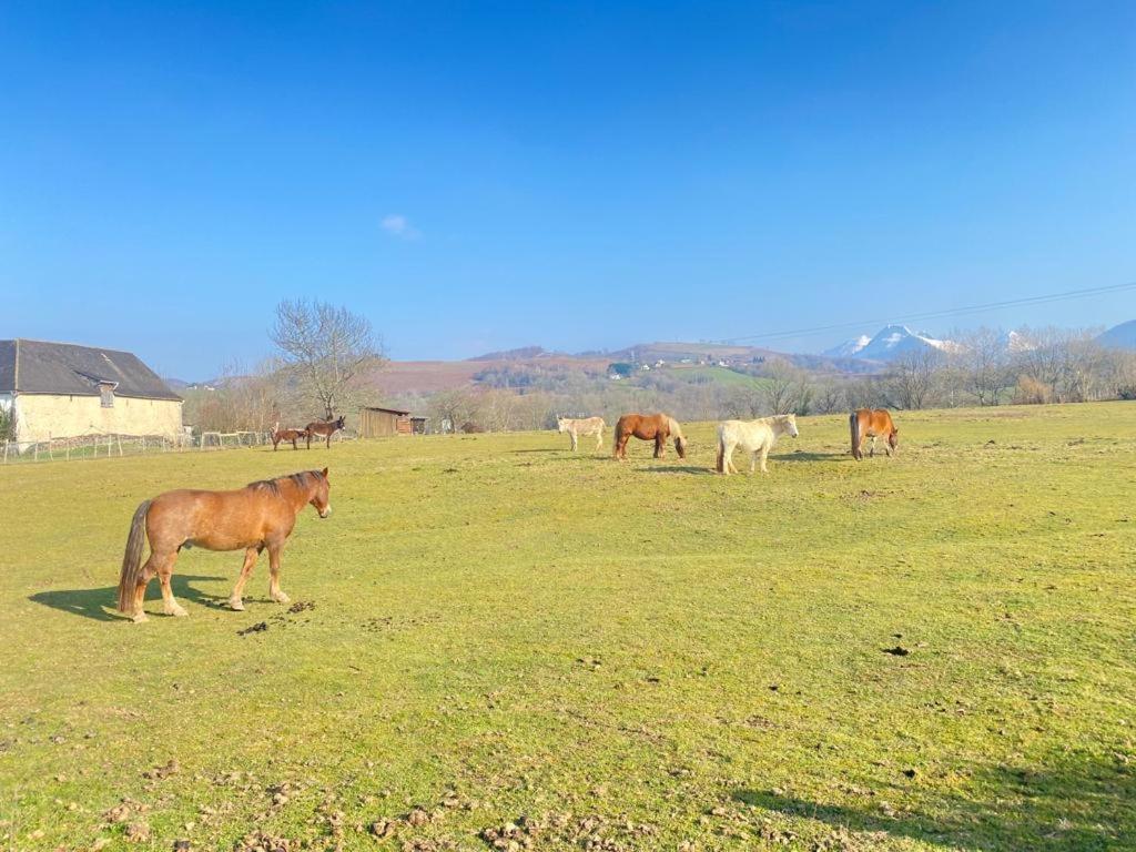Chateau Porthos Tranquillite Des Pyrenees Lanne-en-Baretous Exteriör bild